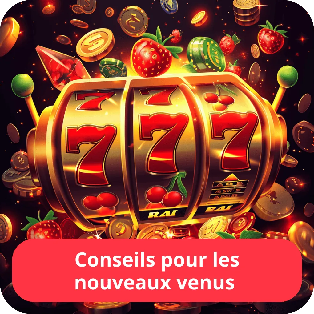 Conseils pour les nouveaux venus 